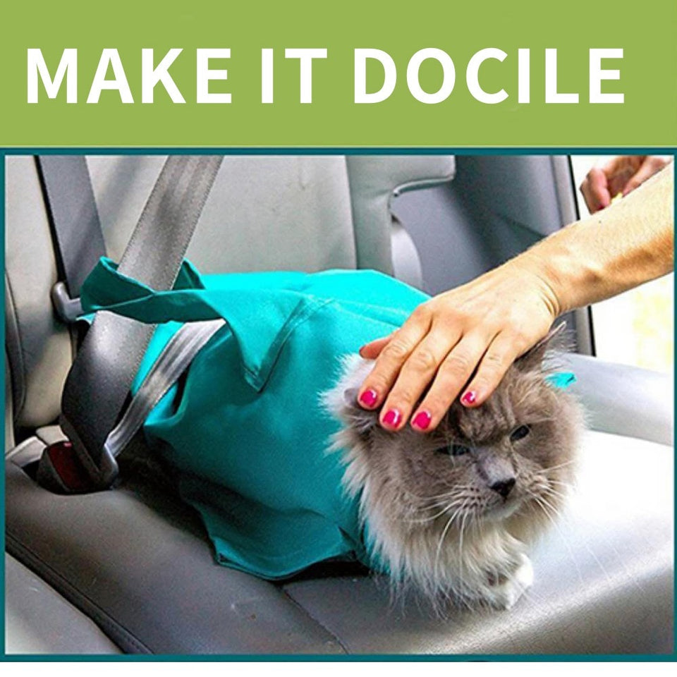 Cat Travel Pouch - Vie Best Shop